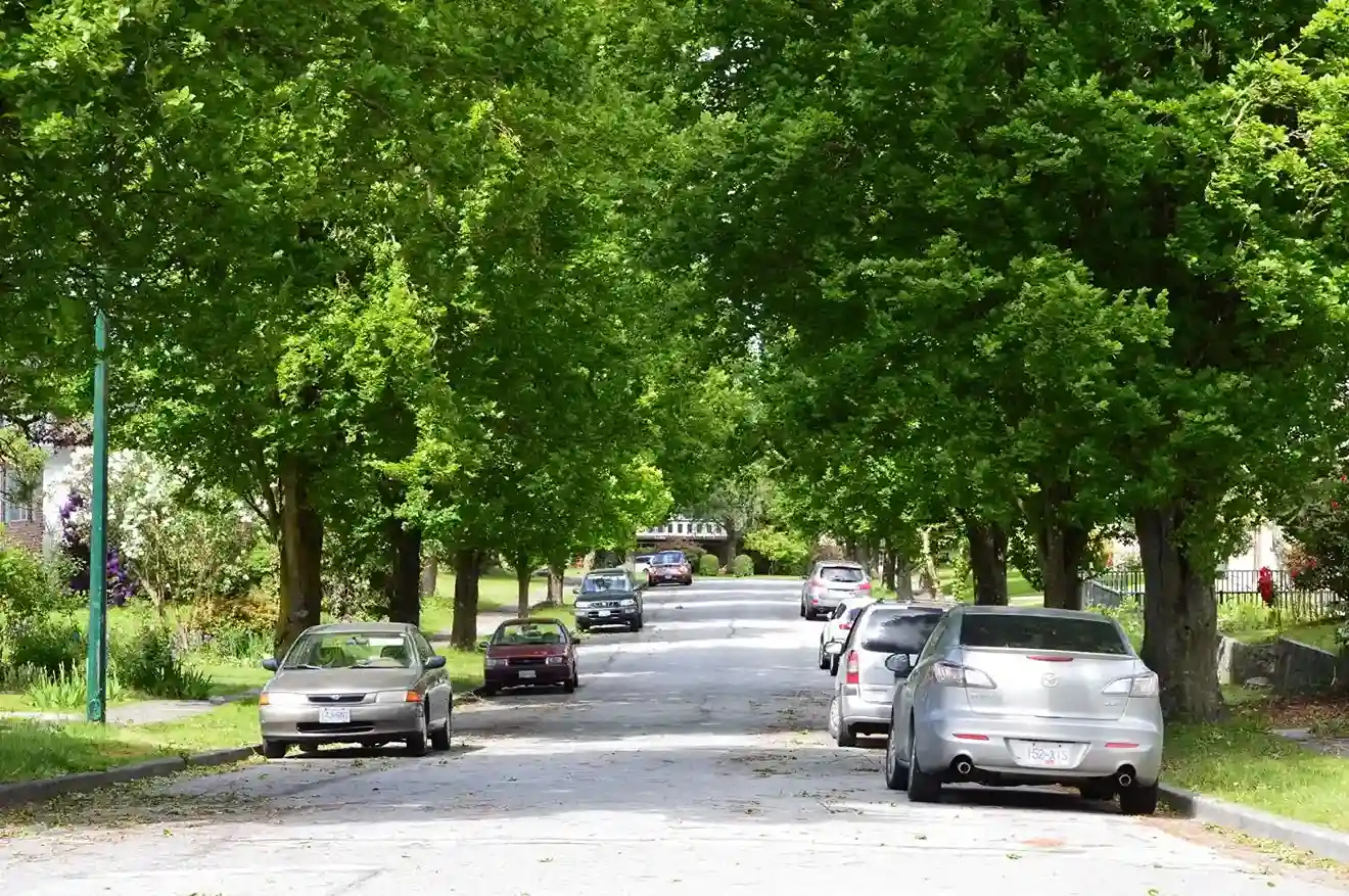 Tips on how to keep your car cool in summer and protect it from extreme heat
